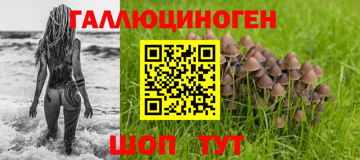 Галлюциногенные грибы Magic Shrooms Крымск