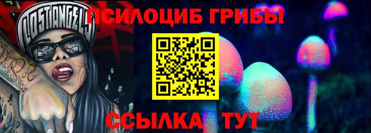 Крымск  как найти   Псилоцибиновые грибы Psilocybe  Вход с VPN  Псилоцибиновые грибы ЛСД 